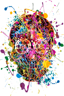 Funny Mexican Sugar Skull Grunge Magnet