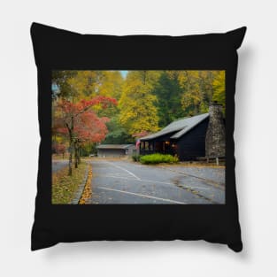 Fall in Vogel State Park Pillow