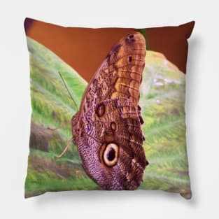 The Magnificent Owl Butterfly Pillow