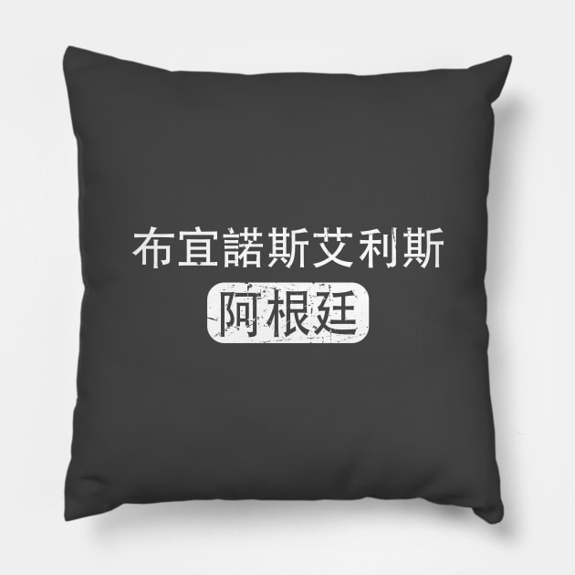 Buenos Aires Argentina in Chinese Pillow by launchinese