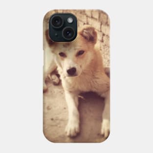 Street Dog of Kathmandu Phone Case