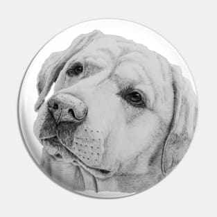 Labrador retriever - yellow Pin