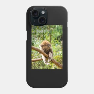 Koala with leg hooked over gum branch. Phone Case