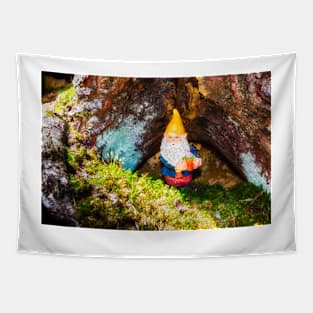 Woodland Gnome 7 Tapestry