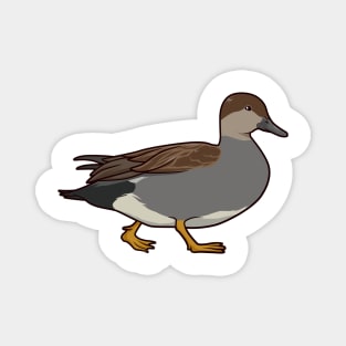 Drawing of a gadwall Magnet