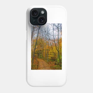 Wooden Pathway Through the Forest Phone Case