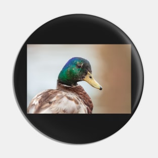 Mallard Male Pin