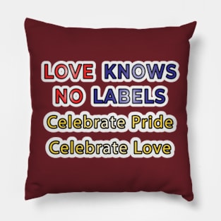 Celebrating Diversity: Embrace Unity in Colorful Typography for Pride Month Pillow