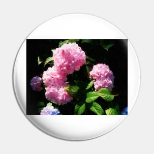 Hydrangea in Sunshine Pin