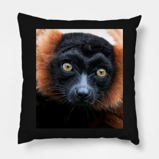 Red Ruffed Lemur Portrait Pillow