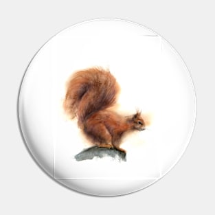 Squirrel Pin