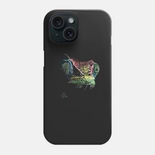 Chameleon Phone Case