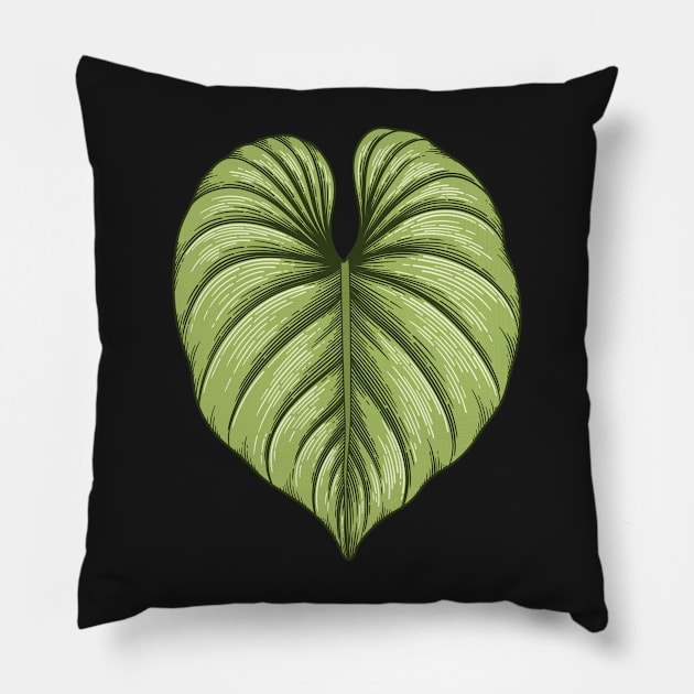 Philodendron plowmanii big leaf Pillow by gronly