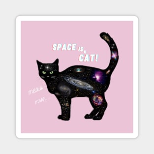 Cat Space Magnet