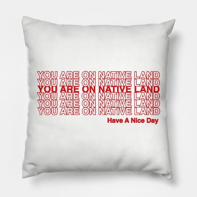 YOU ARE ON NATIVE LAND. Pillow by Skidskunx