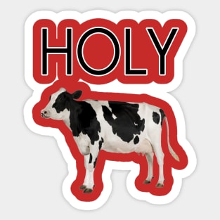 Scooter the Holy Cow