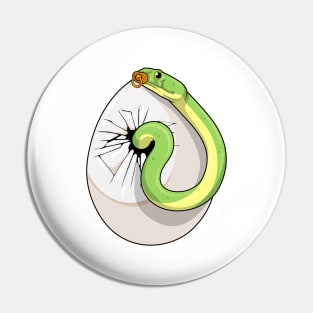 Snake Egg Pacifier Pin