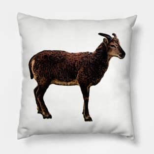 Soay Ewe Pillow