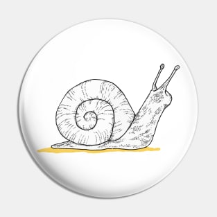 White Snail Pin