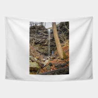 Rich Creek Falls Tapestry