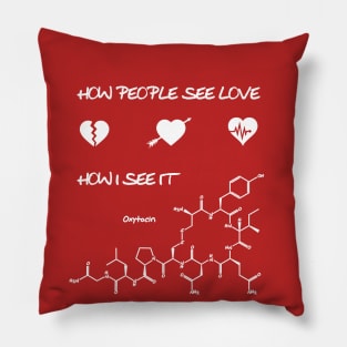 The Chemistry of Love Pillow