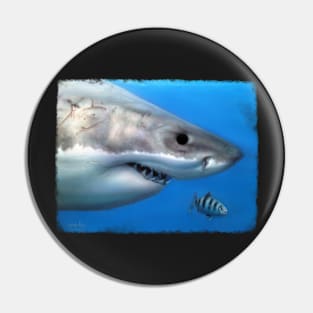 Great white and pilot fish Pin