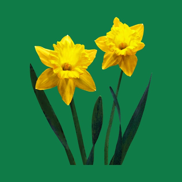 Yellow Daffodil Pair by SusanSavad