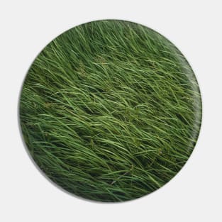 green grass sway in the wind Pin