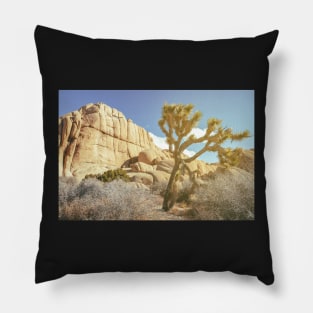 Yucca Joshua Pillow