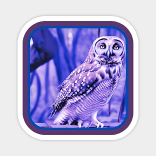 Purple Owl in the Bayou Magnet