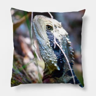 The Eastern Water Dragon! Pillow