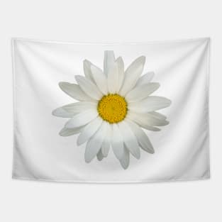 Daisy flower Tapestry