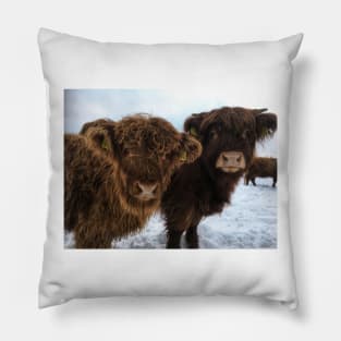 Scottish Highland Cattle Calves 1866 Pillow