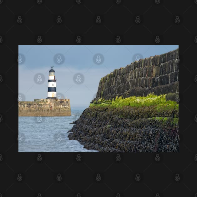 Seaham Harbour Lighthouse by MartynUK