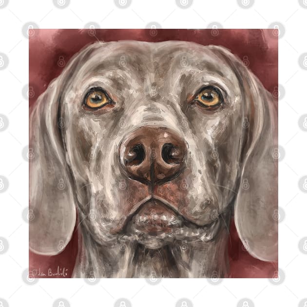 Painting of a Grey Brown Weimaraner Dog Looking At You on Red Background by ibadishi