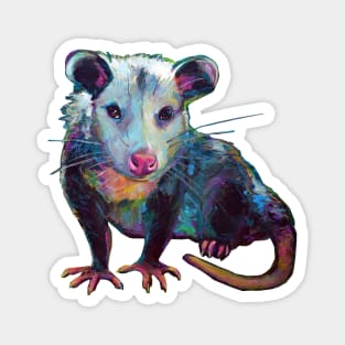 Cute OPOSSUM by Robert Phelps Magnet