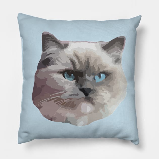 Ragdoll Cat Pillow by NV