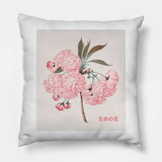 Pink Flower Of Life Japanese Design Pillow by Ampzy