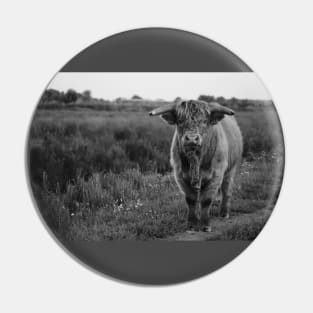 Rural Zen: Captivating Cow in Black & Gray Pin