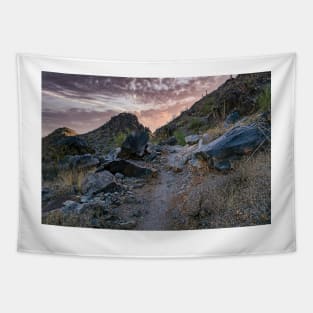 Desert Trail Sunrise Tapestry