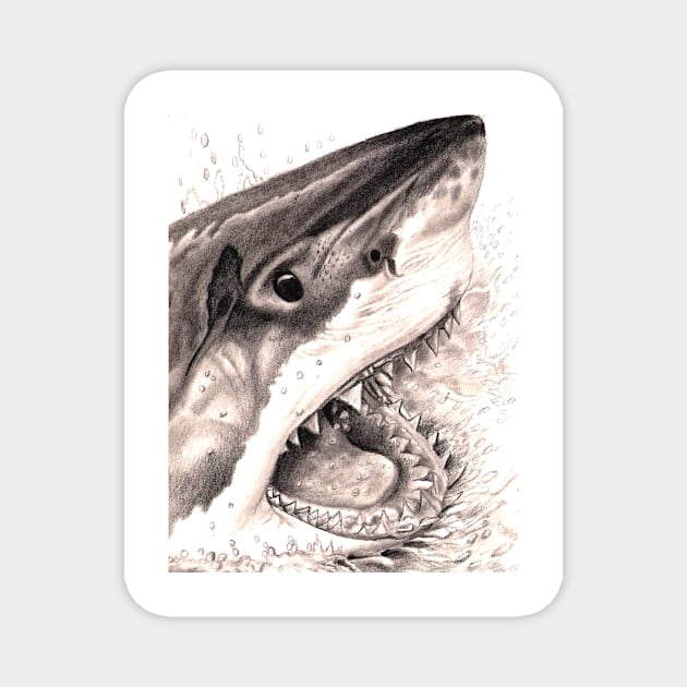 Great White Shark Magnet by VeriArt