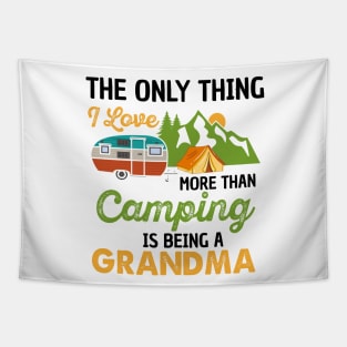 The only thing I love more than camping is being a grandma | camp Tapestry