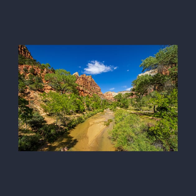 Up the Virgin River, Zion National Park by BrianPShaw