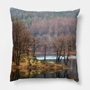 Aggertalsperre - Mirrowing Lake Autumn Colors Pillow