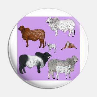 Brahman Cattle Purple Pin