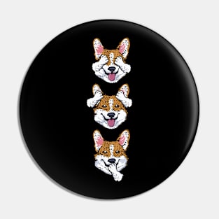 Noevil Corgi Pin