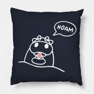 hoam Pillow