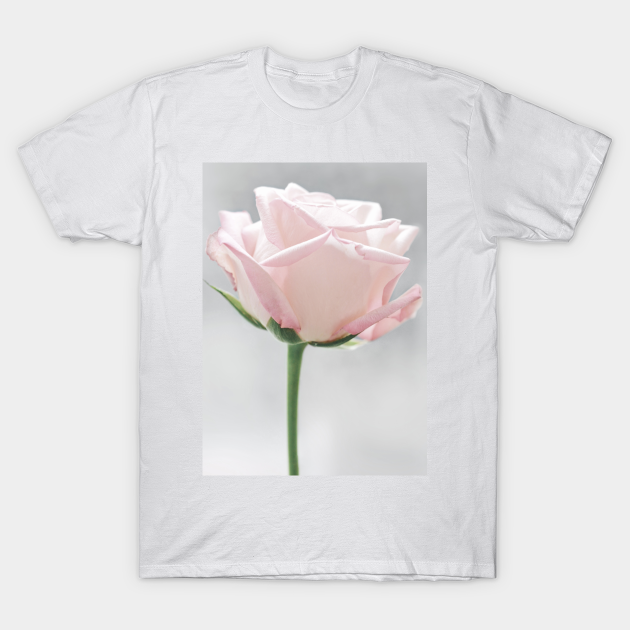 Discover Blush Pink Rose - Pink Rose - T-Shirt