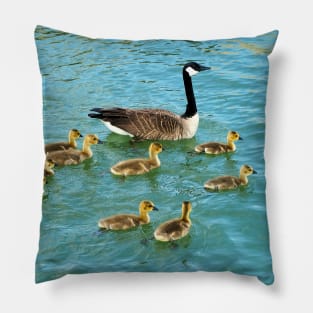 Family of young Geese Goslings Swimming Together Pillow