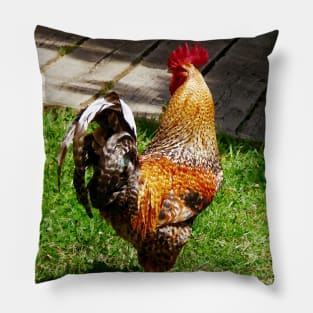 Chickens - Strutting Rooster Pillow